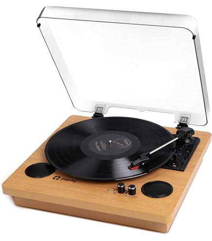 Amazon.co.jp: 未開封 B'z SURVIVE アナログレコード LP盤 Analog