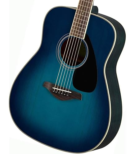 Amazon | James J-450D/Ova Black アコースティックギター エレアコ