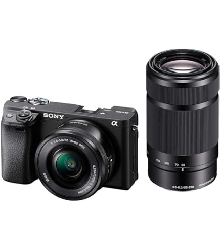 Amazon | SONY ミラーレス一眼 α65 ダブルズームレンズキット DT 18