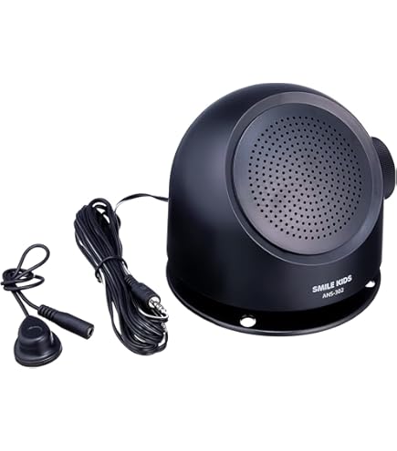 Amazon | JVCケンウッド JVC シーリングスピーカー PS-S20B 黒 | JVC