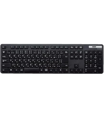 Amazon | 極稀少DSI 可変式 金融 特殊 キーボード KB-8861 青軸 | ノー