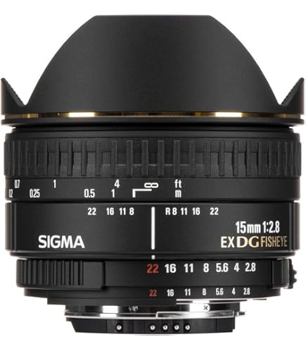 Amazon.co.jp: SIGMA 単焦点魚眼レンズ 10mm F2.8 EX DC FISHEYE HSM