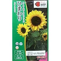 Amazon | タキイ種苗 花種 ひまわり F1スマイルラッシュ | 野菜