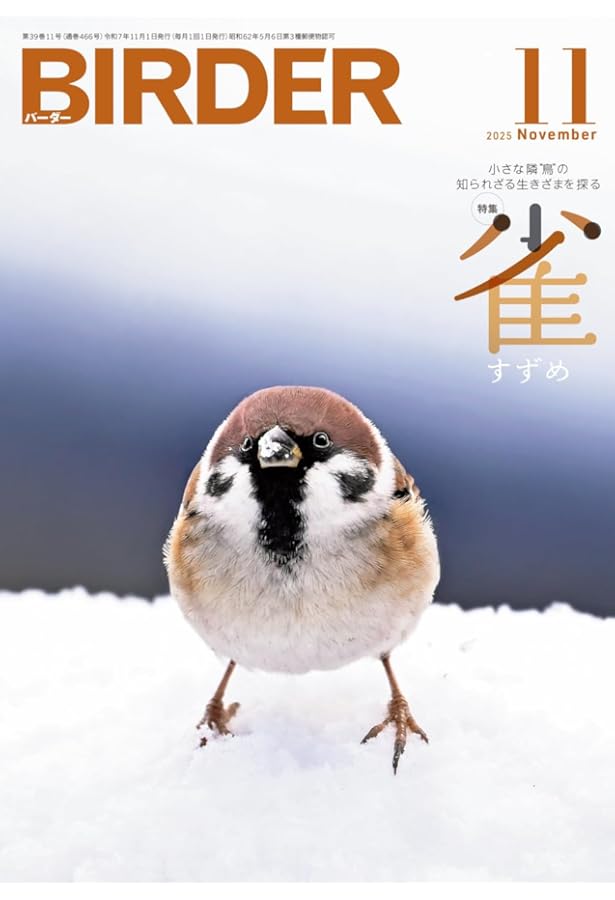 BIRDER 2024年 11 月号 [雑誌] |本 | 通販 | Amazon