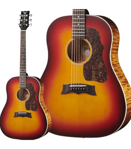 Amazon | MORRIS G-021E VYL エレクトリックアコースティックギター