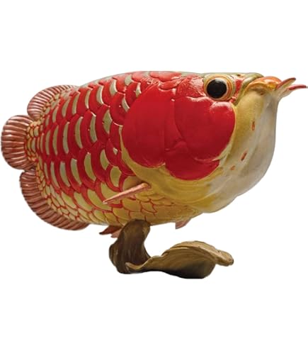 Amazon.co.jp: 【動物の惑星】クランウェルツノガエル（パイナップル