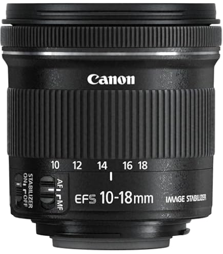 Amazon | Canon 単焦点広角レンズ EF-S24mm F2.8 STM APS-C対応 EF