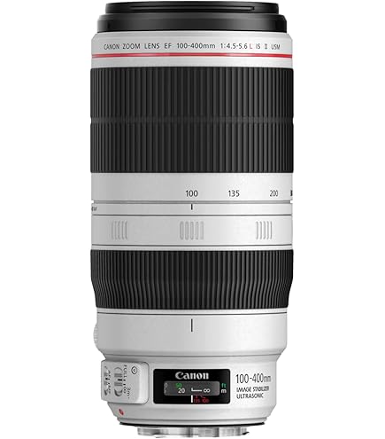 Amazon.co.jp: Canon EFレンズ EF70-300mm F4-5.6L IS USM ズーム