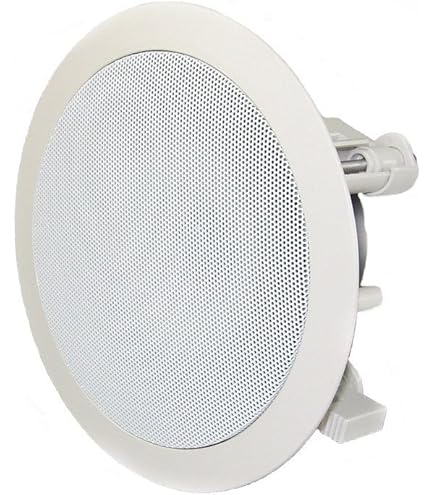 Amazon.co.jp: オースミ電機 MASSIVE 天井スピーカー OE-233Ⅱ(B