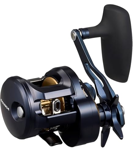 Amazon | ダイワ(DAIWA) ライトジギングロッド ソルティガ(SALTIGA) LJ
