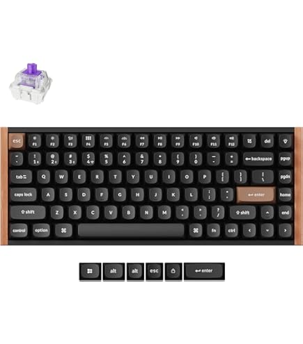 Amazon | 【国内正規品】Keychron K4 HE ラピッドトリガー ワイヤレス