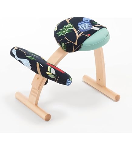 組み立て不要 説明書 撥水カバー バランスチェア イージー レッド 紺