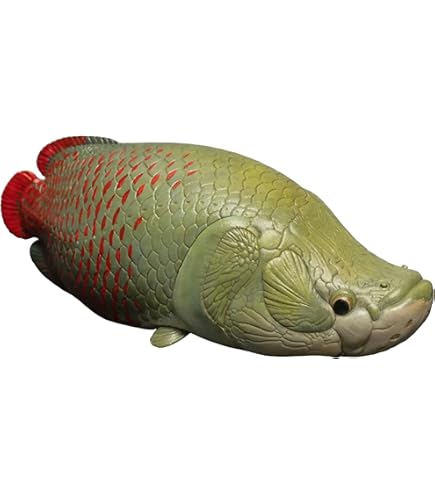 Amazon.co.jp: 【動物の惑星】クランウェルツノガエル（パイナップル