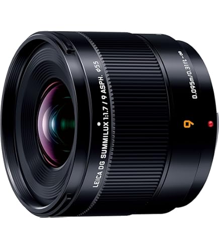 Amazon.co.jp: Panasonic H-XA025 Lumix LEICA DG SUMMILUX 25mm/F1.4