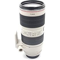 714c+UmpK-L._AC_UL210_SR210,