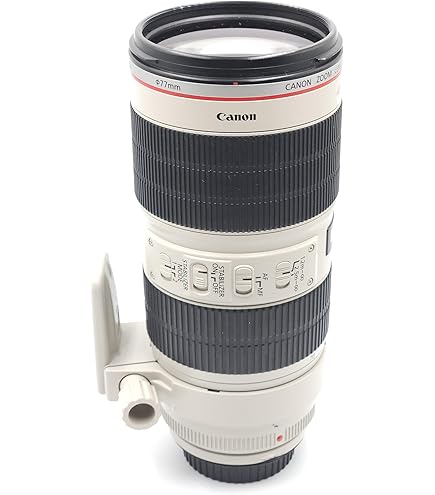 Amazon.co.jp: Canon 標準ズームレンズ EF24-70mm F2.8L USM フル