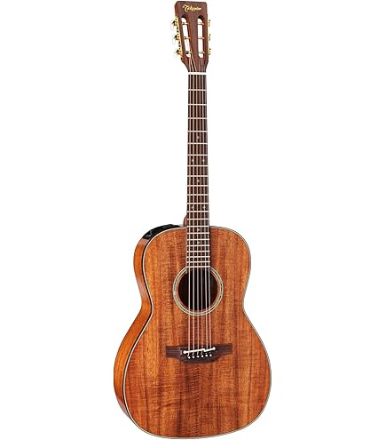 Amazon | Takamine / TSP138C TB タカミネ エレアコ アコースティック