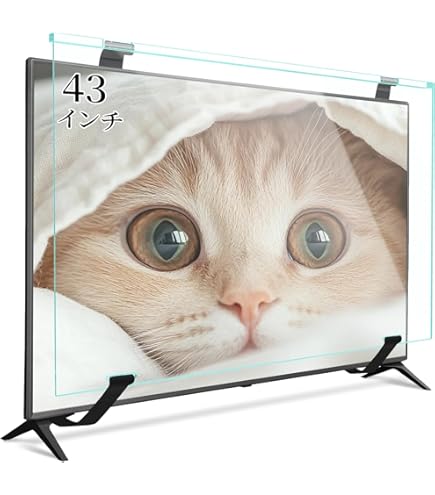 Amazon | NIDEK 液晶テレビ保護パネル52型 反射防止付レクアガード