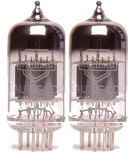 Amazon.co.jp: Jaiyinnlay 300B 真空管 Hifi 電子管 マッチド2本組