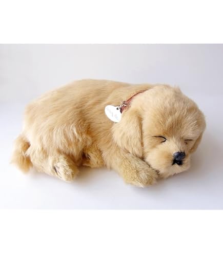 Amazon.co.jp: ラブラドールレトリバー ぬいぐるみ ホワイト M : おもちゃ