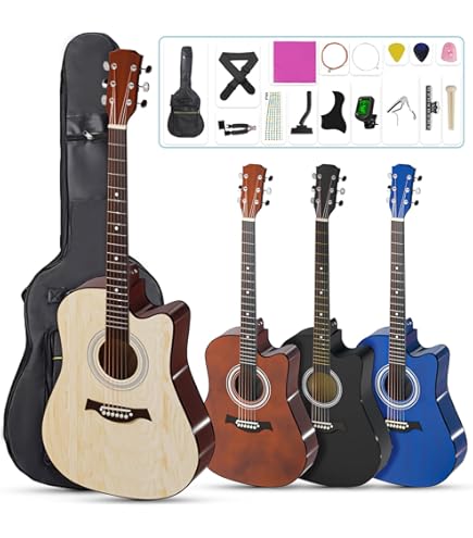 Amazon.co.jp: Gitane DG-255 プロフェッショナル ジプシー ジャズ