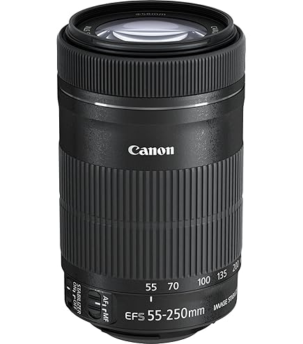 Amazon.co.jp: Canon EFレンズ EF75-300mm F4-5.6 IIIズームレンズ
