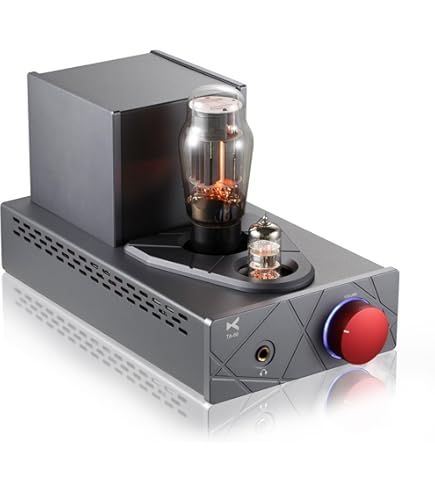 Amazon.co.jp: xDuoo 真空管ヘッドホンアンプ TA-02 : 家電＆カメラ