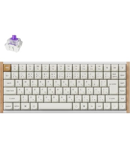 Amazon | 【国内正規品】Keychron V1 Max レトロカラー QMKワイヤレス