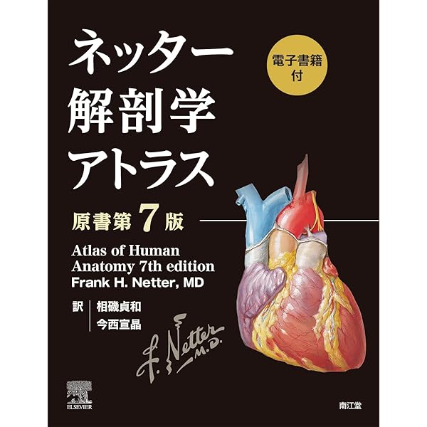 プロメテウス解剖学アトラス 解剖学総論/運動器系 第3版 | 坂井 建雄