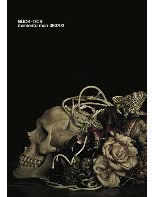 Amazon.co.jp: TOUR 2010 go on the“RAZZLE DAZZLE