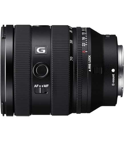 Amazon.co.jp: Sony (ソニー) - FE 24-105mm F4 G OSS 標準ズーム