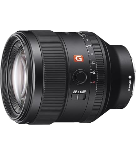 Amazon | FE 28-70mm F2 GM ソニーEマウント SEL2870GM 大口径標準