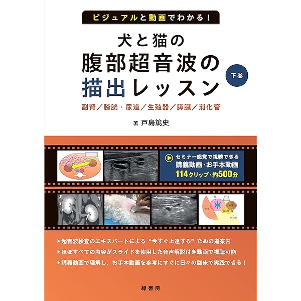 Amazon.co.jp: 犬と猫の治療薬ガイド2023 : 大草 潔、 折戸謙介: 本