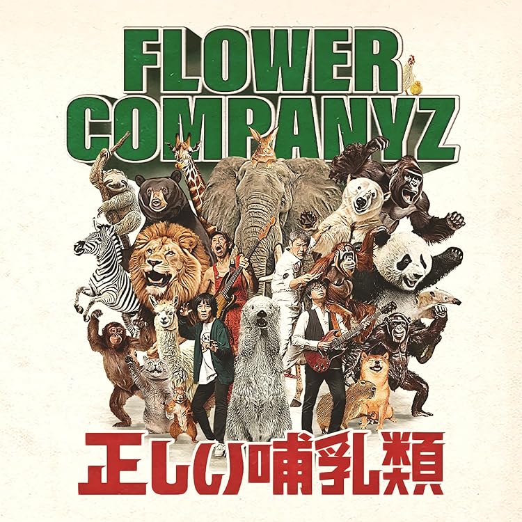 Amazon.co.jp: 新・フラカン入門(2008-2013)(初回生産限定盤