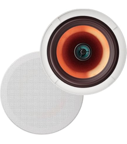 Amazon.co.jp: TOA 広指向性 天井埋込 スピ－カ－ 30W F-2321C : 家電