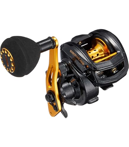 Amazon | アブガルシア リール REVO NEOS DEEZ | Abu Garcia