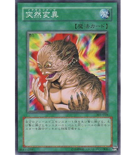 Amazon.co.jp: 遊戯王 聖導騎士 ( セイントナイト ) イシュザーク