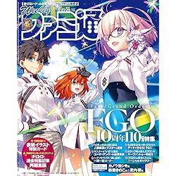 Amazon.co.jp: Fate/Grand Order Material XIII (Book) : Software