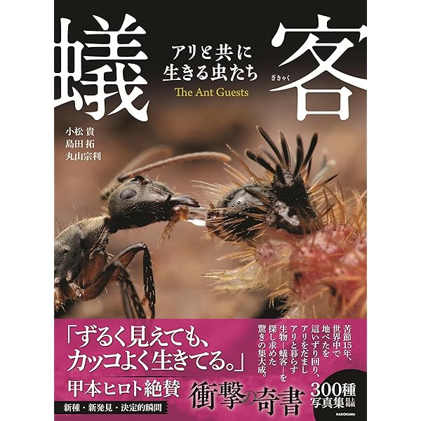 Amazon.co.jp: アリの巣の生きもの図鑑 : 丸山 宗利: 本