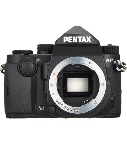 Amazon | PENTAX デジタルミラーレス一眼 Q10 ダブルズームキット