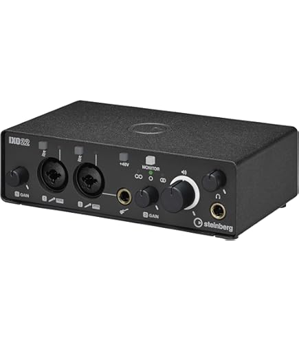 Amazon.co.jp: 【整備済み品】 Steinberg スタインバーグ 2x2 USB2.0