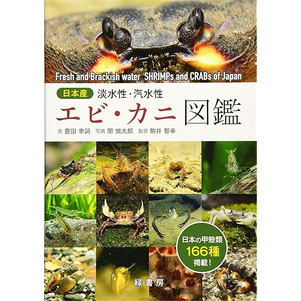 ヨコエビ ガイドブック | 有山啓之 |本 | 通販 | Amazon