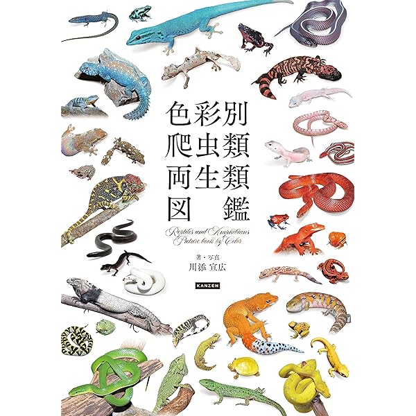 爬虫類・両生類1800種図鑑 | 海老沼 剛, 川添 宣広 |本 | 通販 | Amazon