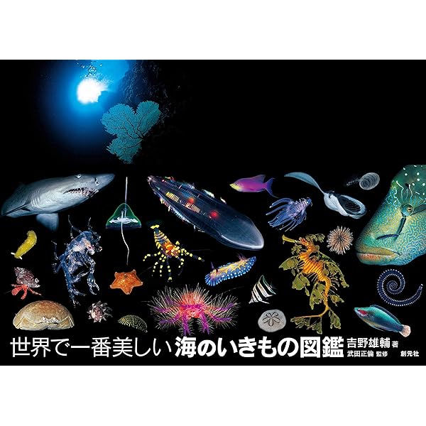 Amazon.co.jp: 世界で一番美しい種子図鑑 : ロブ・ケスラー
