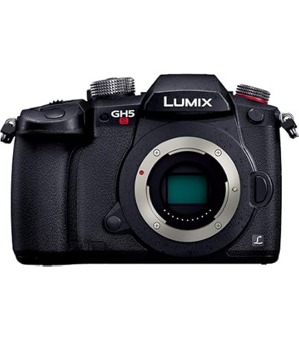 Amazon.co.jp: パナソニック ミラーレス一眼カメラ ルミックス GH3