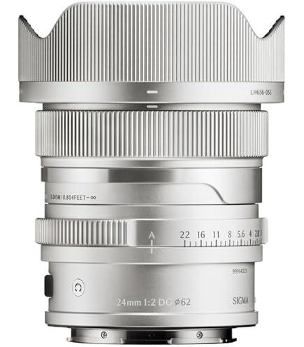 Amazon.com : 24mm F2 DG DN for L-Mount : Electronics
