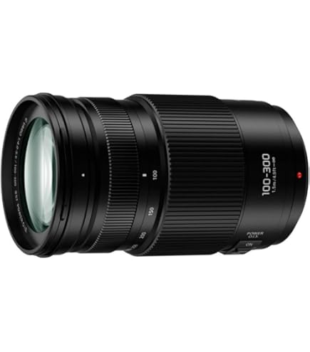 Amazon.com : Panasonic LUMIX G VARIO 100-300mm F4.0-5.6 MEGA O.I.S