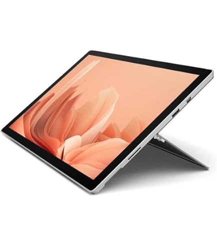 Amazon.com : Microsoft 12.3