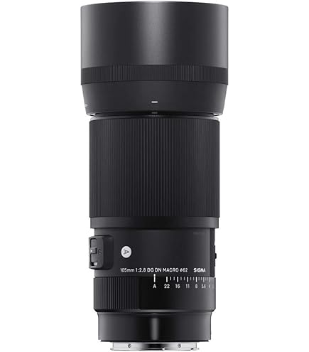 Amazon.com : Sigma 105mm F2.8 DG DN Macro Art (L-mount) : Electronics
