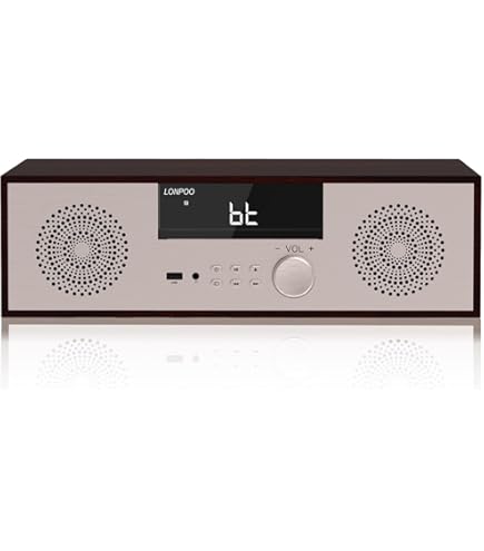 Sony CMTSBT100 Micro Music System with Bluetooth and NFC : Amazon